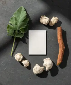 KUBOZN® Targeted Lung Cleansing Patch