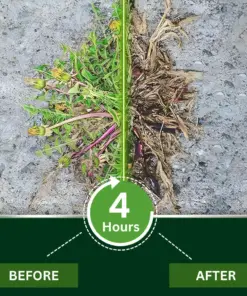 KUBOZN® 2-in-1 Weed Killer